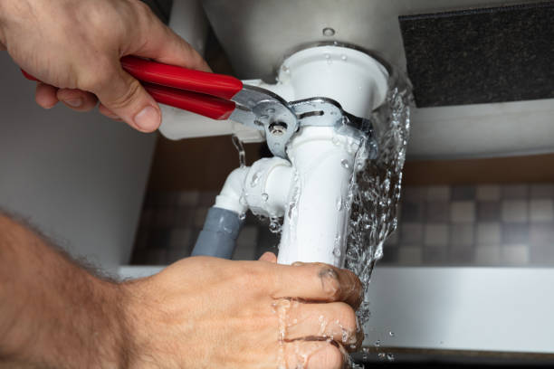 Best Flood damage cleanup  in White Mountain Lake, AZ
