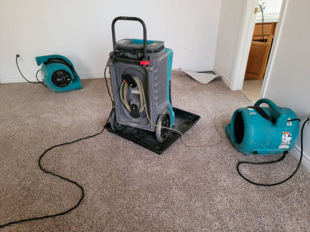 Best Water damage contractors near me  in White Mountain Lake, AZ