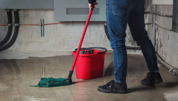 Best 24-hour water damage restoration  in White Mountain Lake, AZ