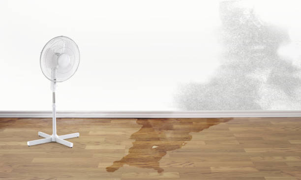 Best Flooded house restoration  in White Mountain Lake, AZ