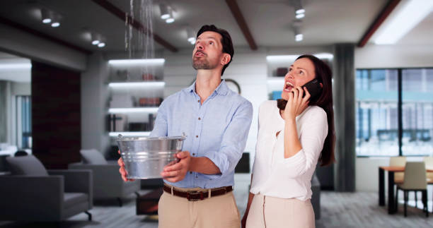 Best Flooded house restoration  in White Mountain Lake, AZ