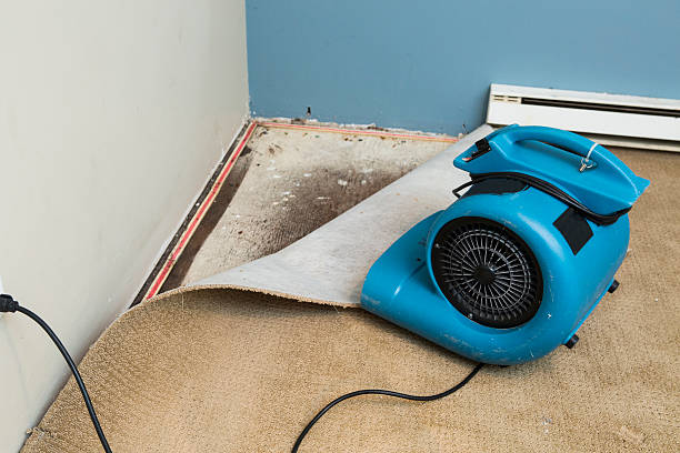 Carpet water damage restoration in White Mountain Lake, AZ